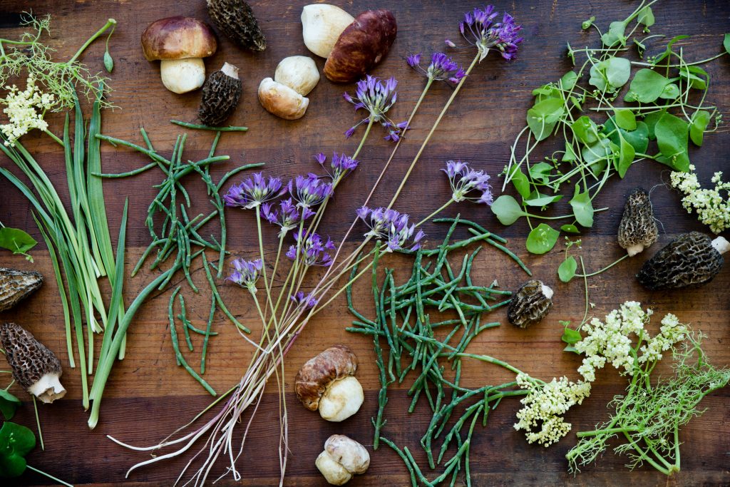 mana restaurant foraged ingredients