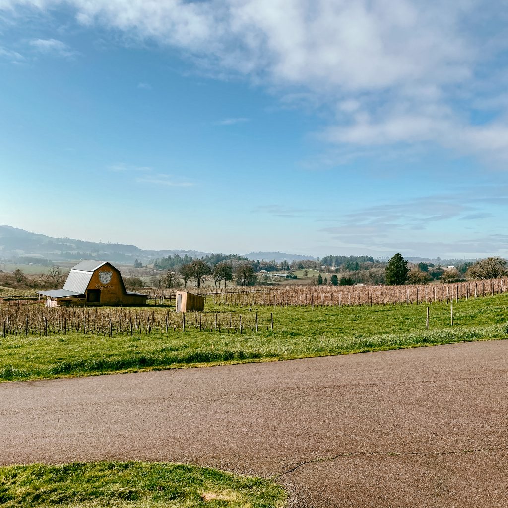 The best wineries in Willamette Valley. Bergstrom wines. Dundee and Newberg, Oregon. Willamette Valley wineries.