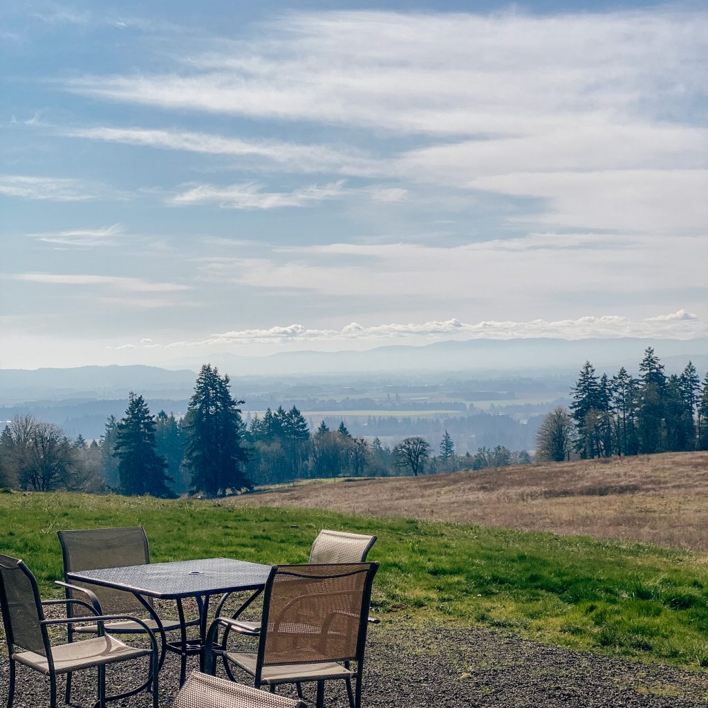 Winter's Hill, Dayton, Oregon. The best wineries in Willamette Valley. Willamette Valley wineries.