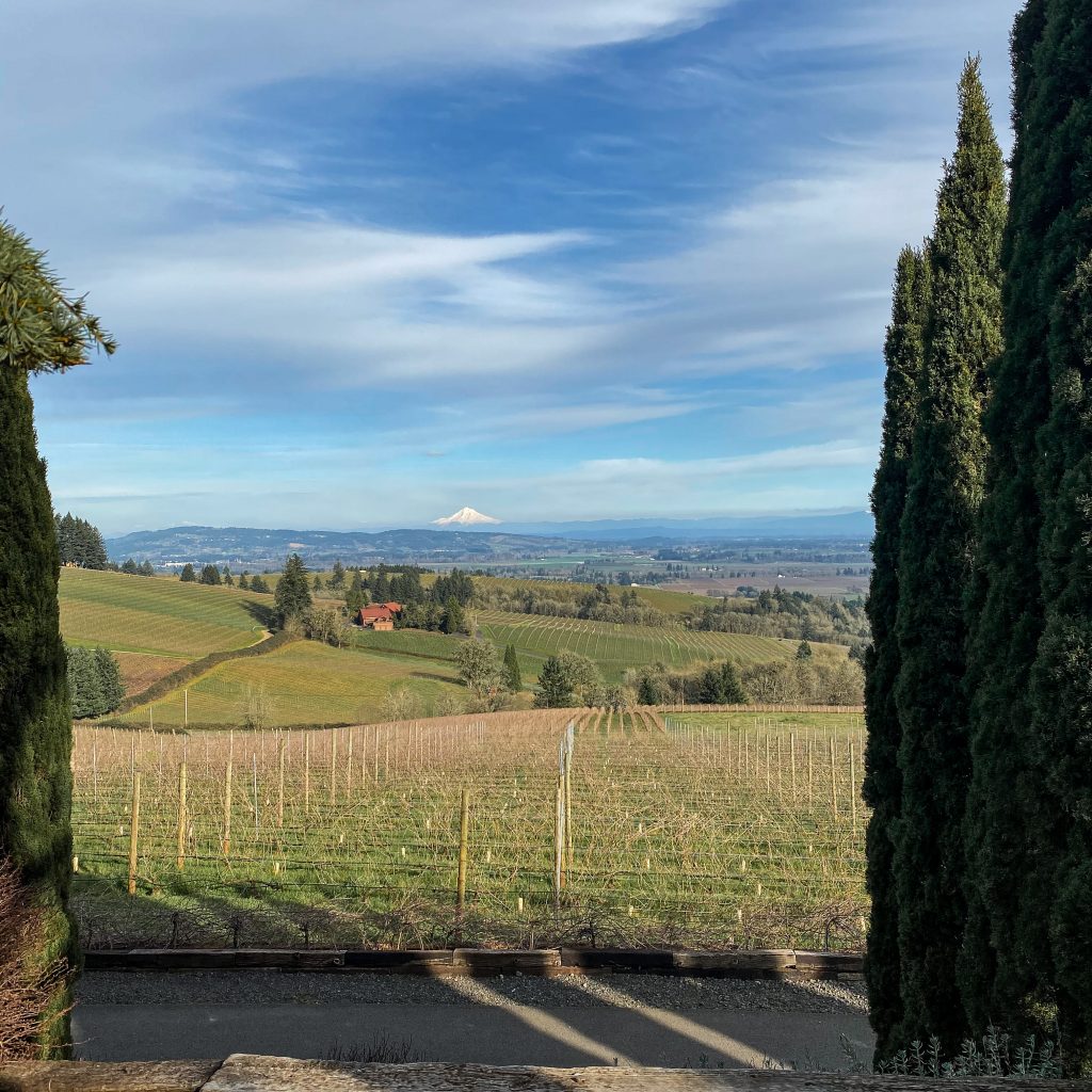 The best wineries in Willamette Valley. White Rose Estate. Dayton, Oregon. Willamette Valley wineries.
