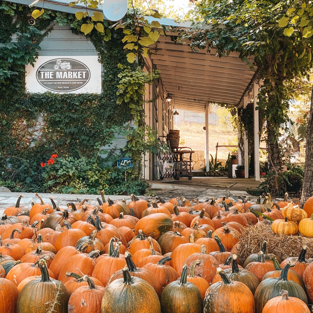 Bridget's Basket in Hunt, TX. The Luxurious Escape to the Heart of Texas Hill Country You Need To Book. Dwell Well Experience. Dwell Well Rental Properties. Kerrville, TX. Fredericksburg, TX. Texas Hill Country
