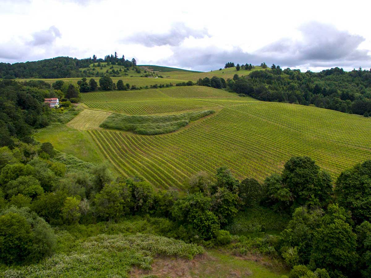 Bethel Heights Vineyard, Salem, Oregon. The best wineries in Willamette Valley. Willamette Valley wineries.